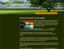 Tablet Screenshot of charbon-vegetal.com